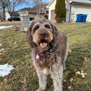 Meet your Posher, Carolynn